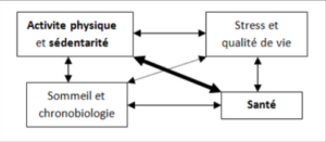 sophrologie-sport-santé-lutter-contre-le-stress-graines-de-lotus